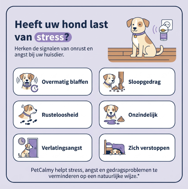 Kalmerende Diffuser voor Honden