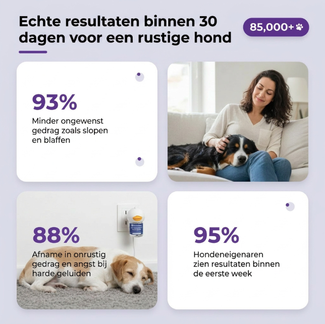 Kalmerende Diffuser voor Honden